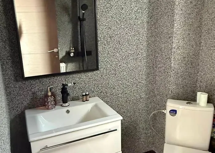 1 Curte Parcare Privata Centru Apartment Craiova